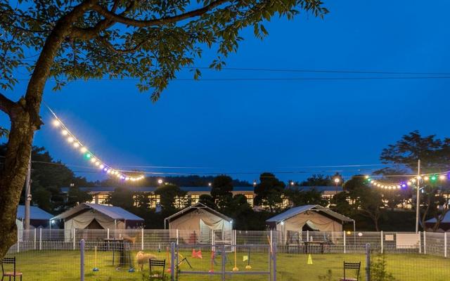 서산 펫앤트리글램핑