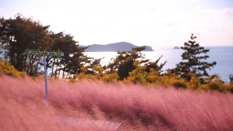 태안(안면도) 지중해아침펜션 전망