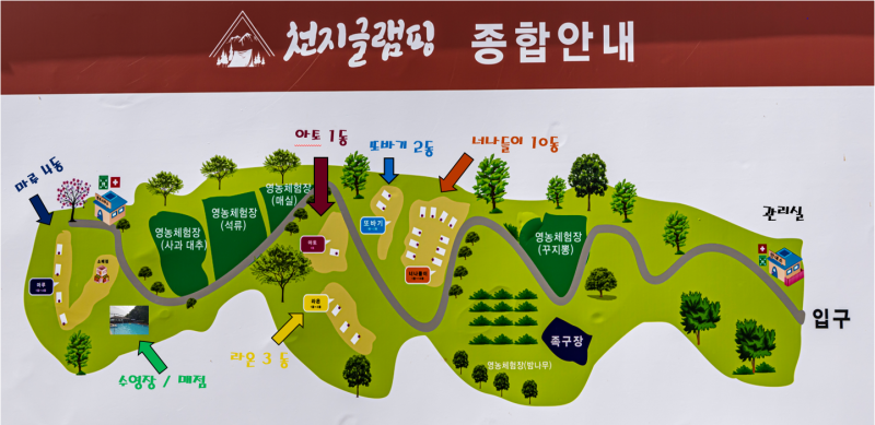 대표 사진
