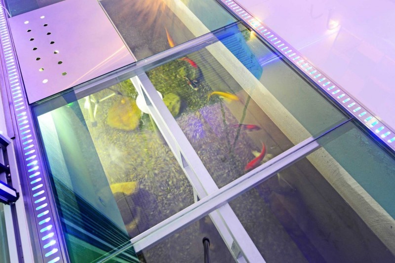 https://yaimg.yanolja.com/v5/2024/12/30/11/67728b10872466.28767456.jpg
