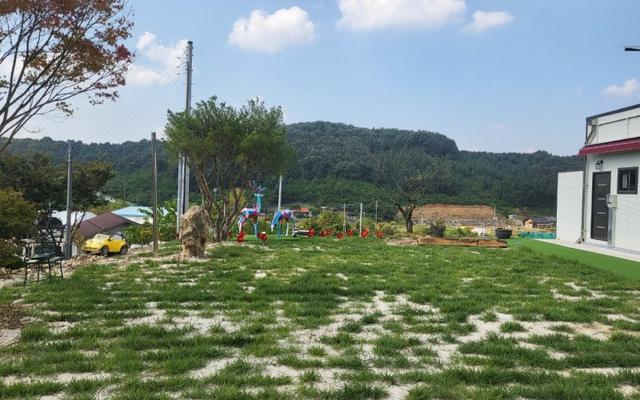 예산 다온팜캠핑장 사진