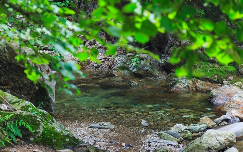 포천 코지11펜션 이미지 23