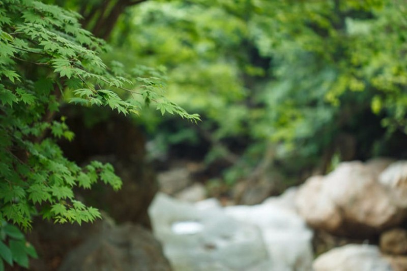 포천 코지11펜션 이미지 64