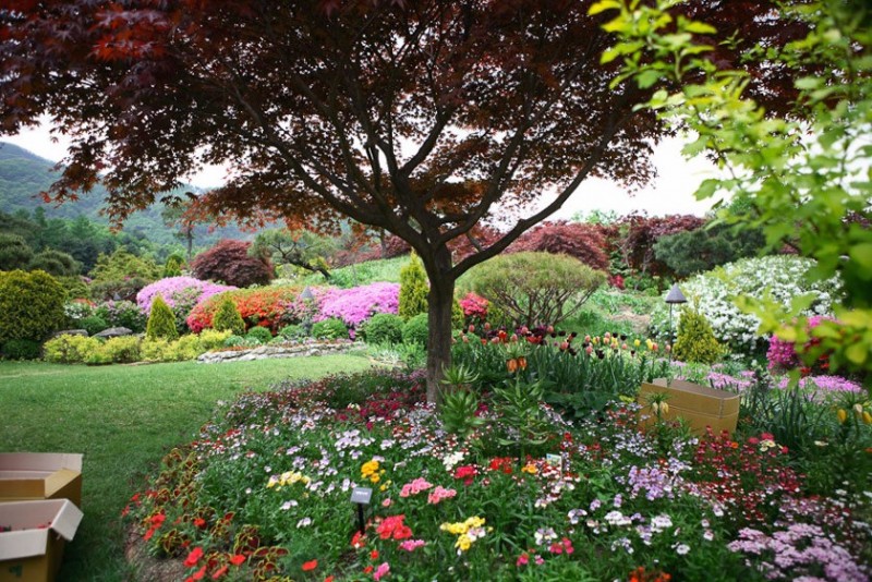 포천 코지11펜션 이미지 52