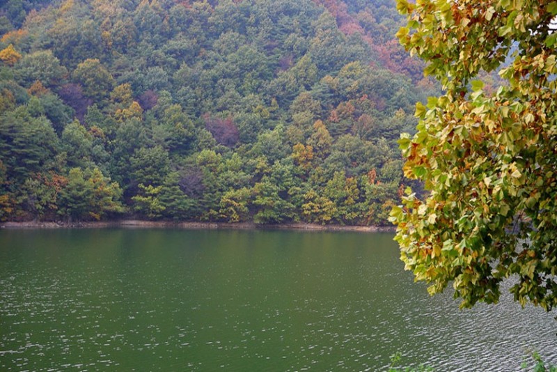 포천 코지11펜션 이미지 39