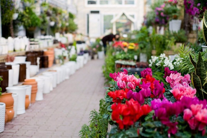 포천 코지11펜션 이미지 45