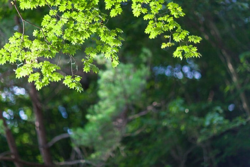 포천 코지11펜션 이미지 27