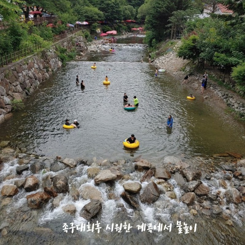무주 다숲펜션 수영장