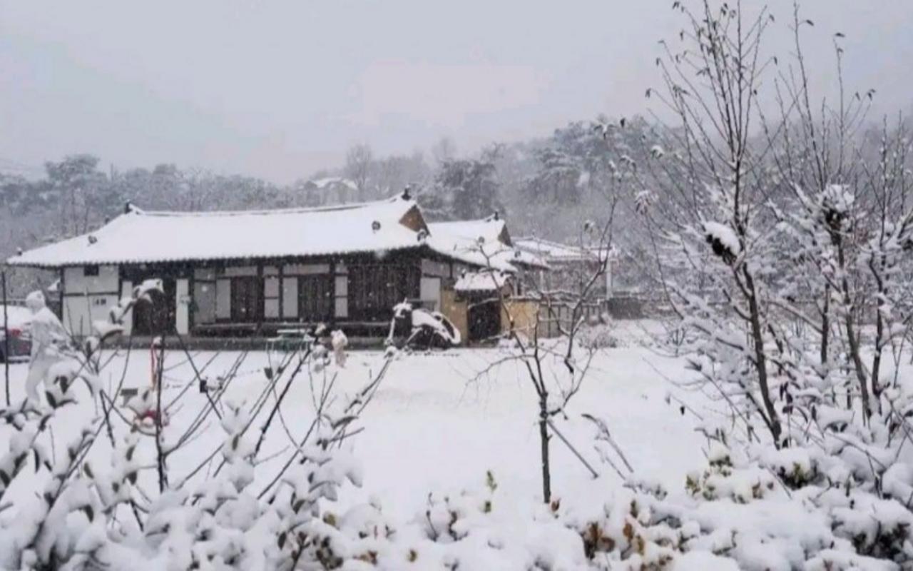 영주 서늘기문화펜션 사진