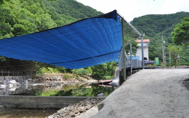 금산 느티골펜션