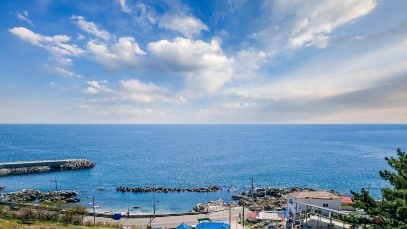 영덕 펜션대부리320 전망