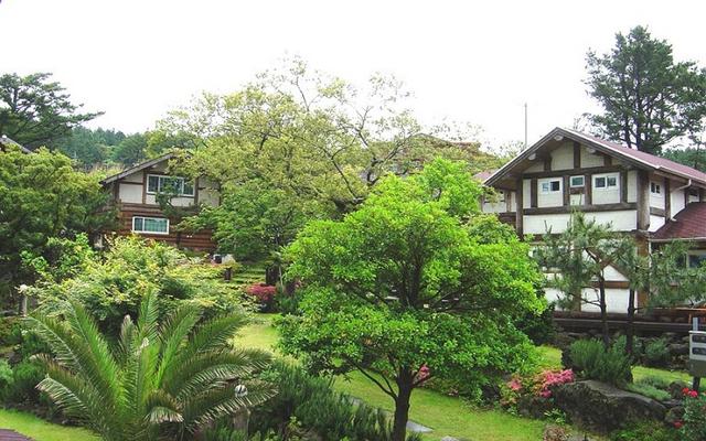 제주 로그맨하우스펜션