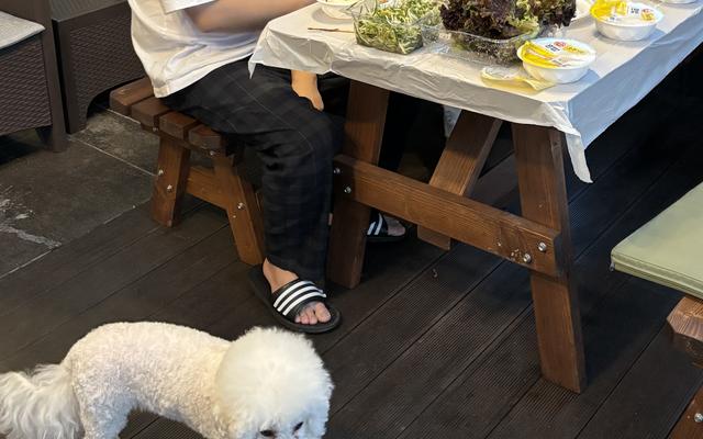 포항 유니풀빌라 사진 2