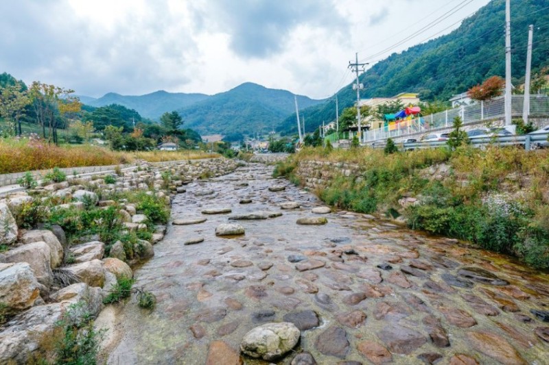 정선 메이플펜션 전망