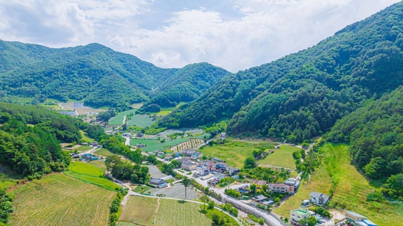 정선 메이플펜션 전망