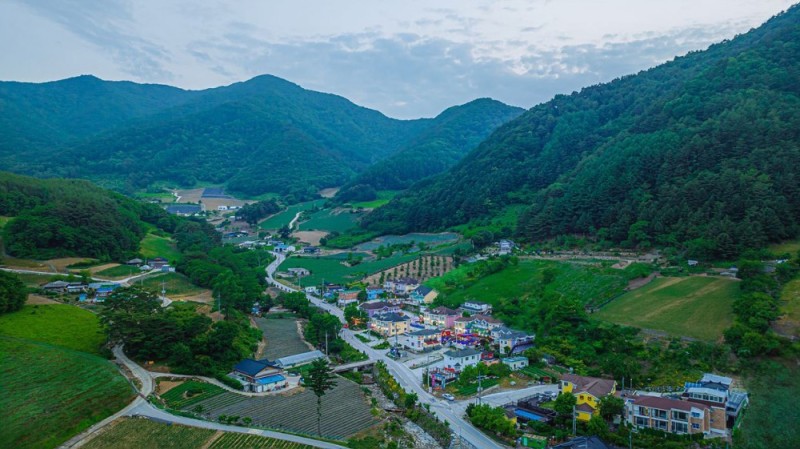 정선 메이플펜션 전망