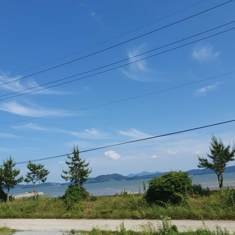 보성 행운펜션 전망