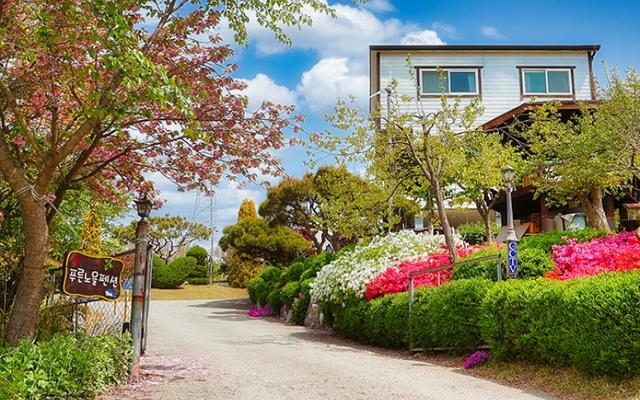 대부도 푸른노을펜션(탄도항, 전곡항)