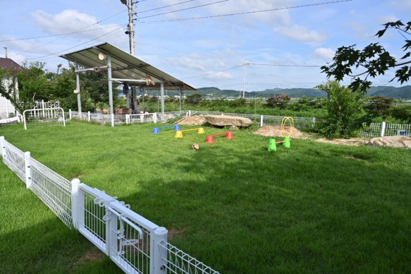 https://yaimg.yanolja.com/v5/2025/01/31/01/679c29400b6ee9.55601136.jpg