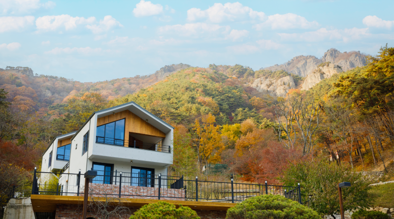 담양 리사숲속마을펜션 전망