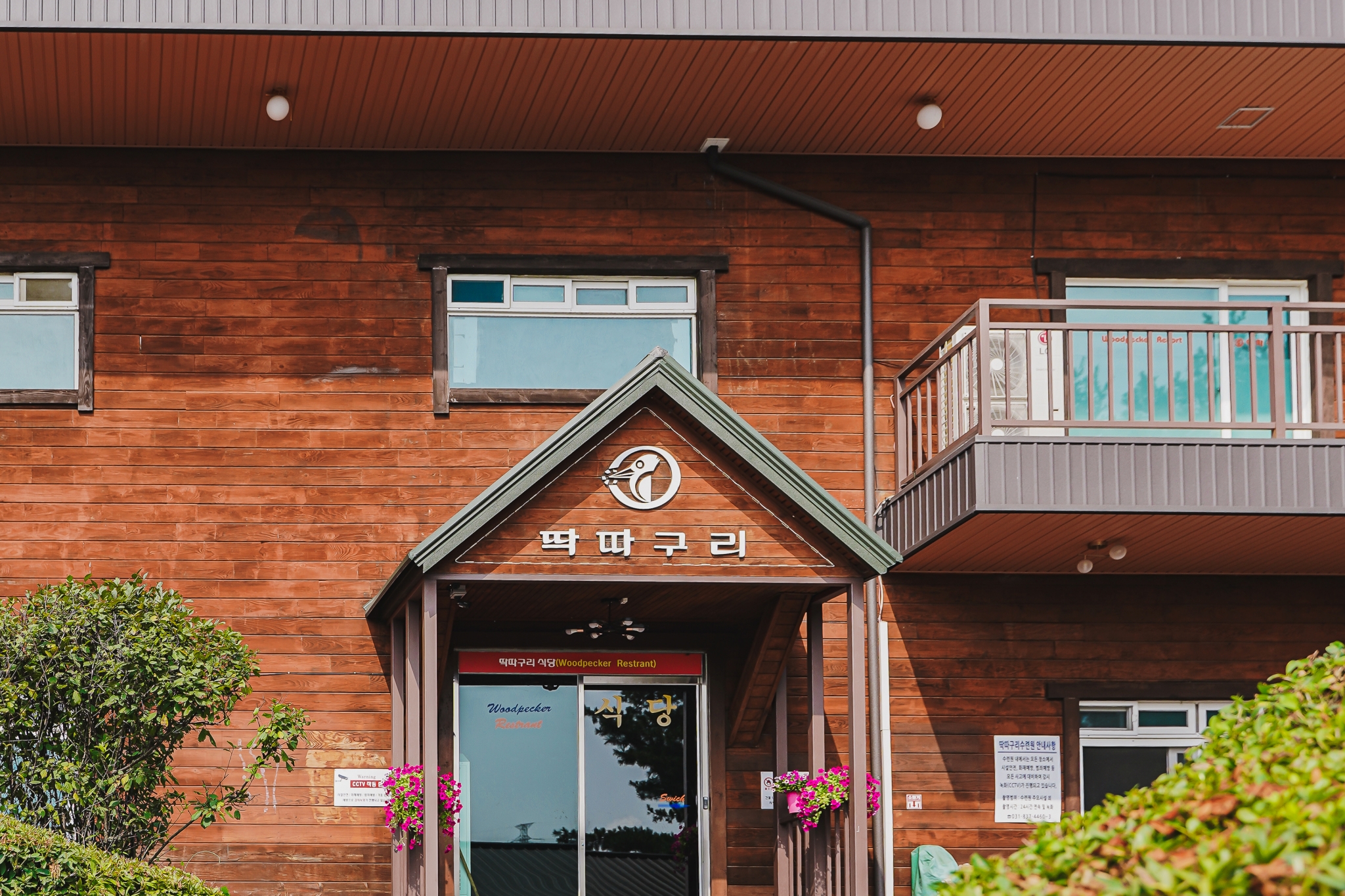 딱따구리 리조트 외관