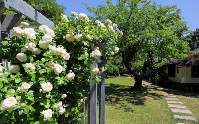 김포 마리의정원펜션