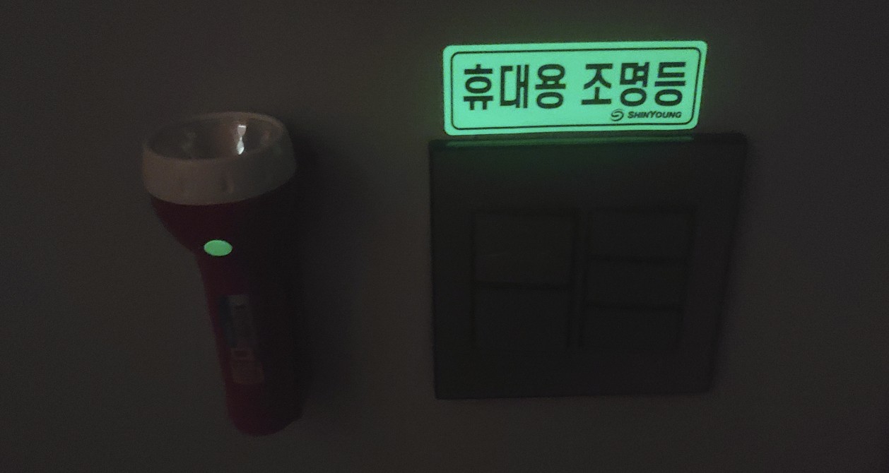 완도 프린스 사진