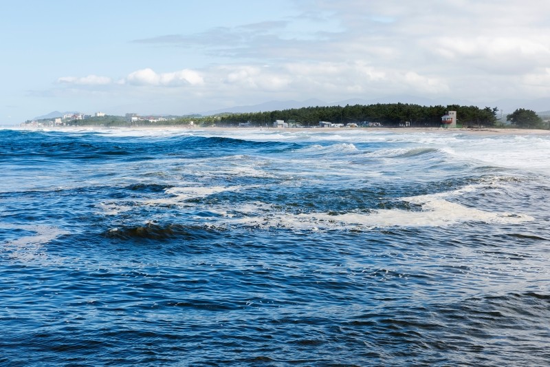 강릉 블리스펜션 이미지 48