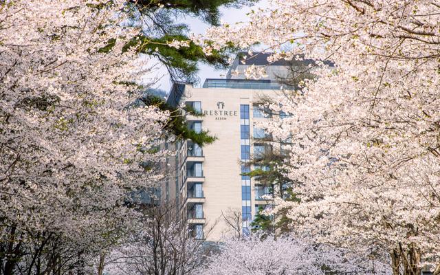 제천 리솜 포레스트&레스트리