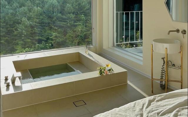 파주 머스트화이트