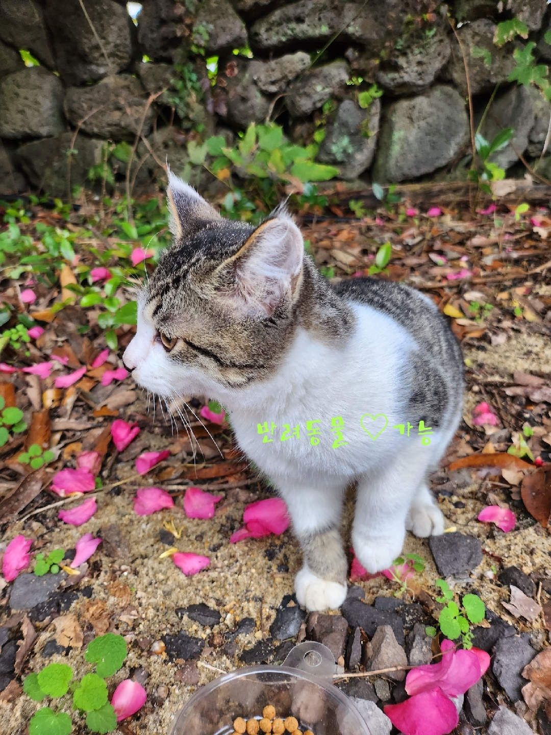 https://yaimg.yanolja.com/v5/2025/03/10/08/67cea61533b704.86761725.jpg