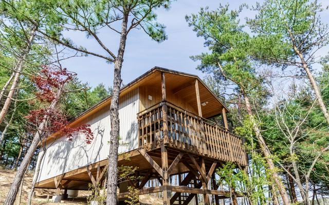 주성리조트 파인포레스트