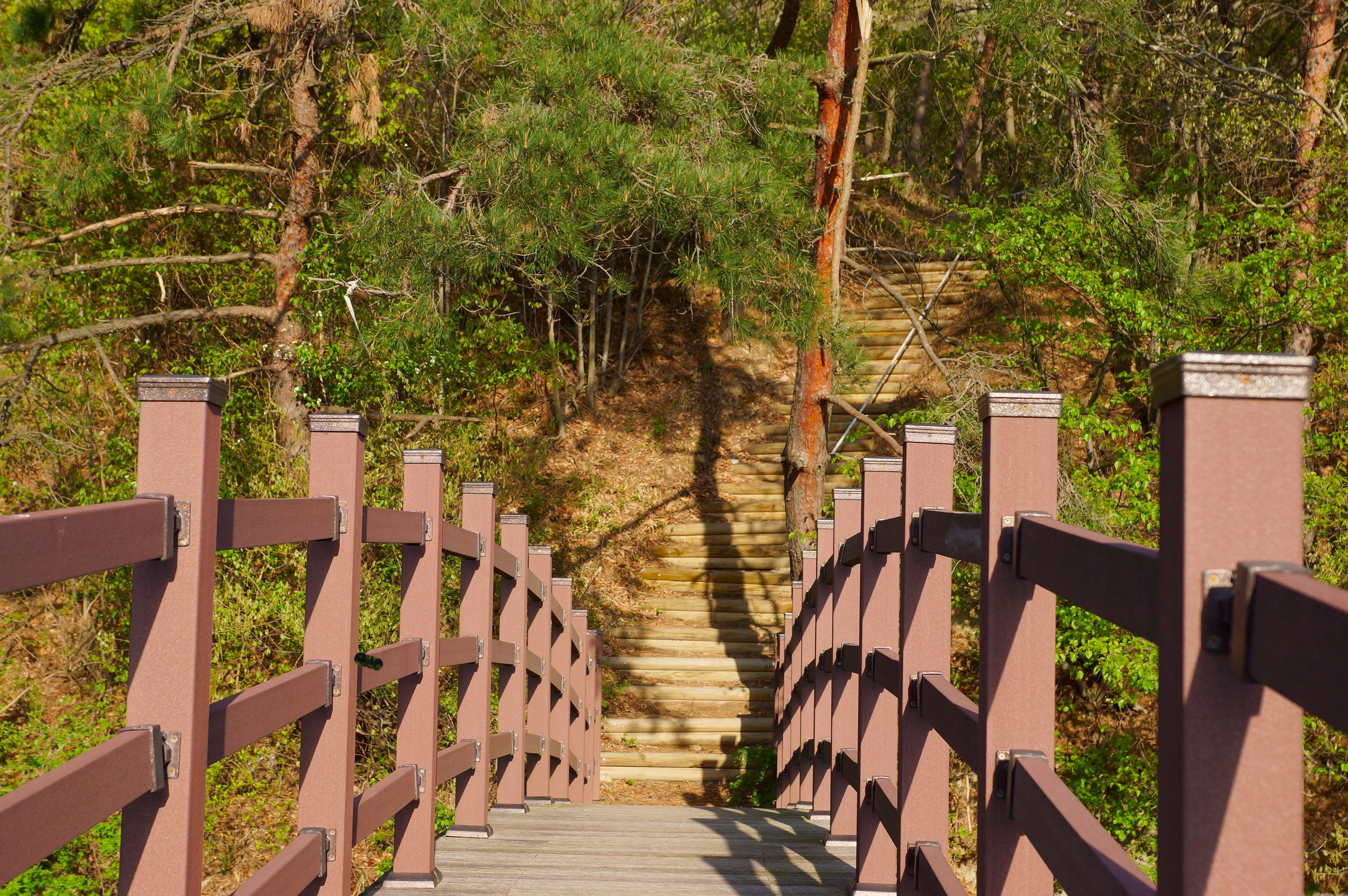 부안(변산반도) 케이팝펜션 전망