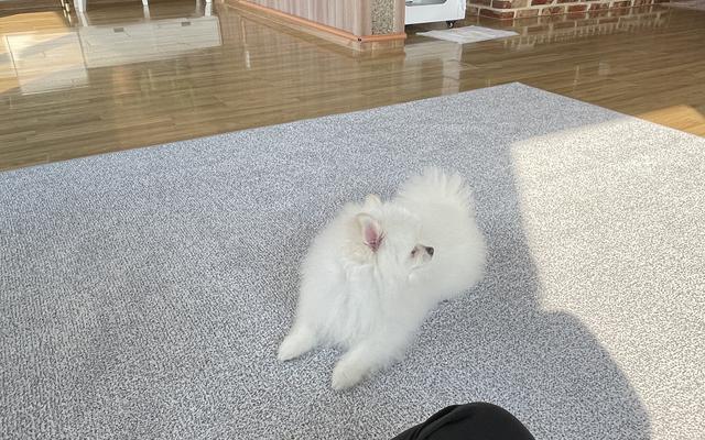 썸네일_1