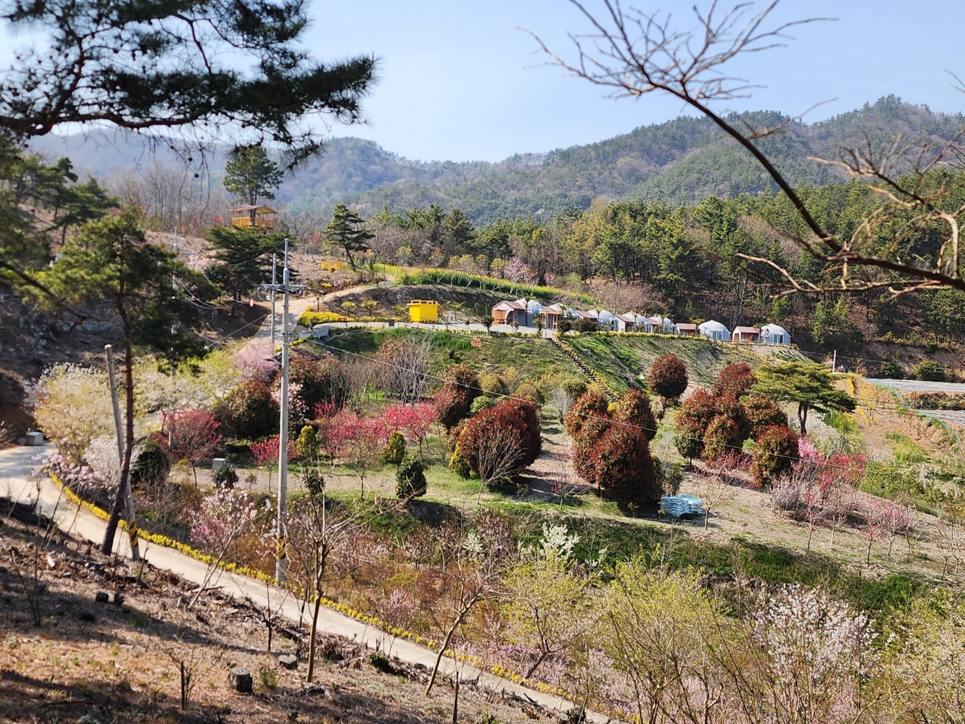 보성 글램핑더마루 전망