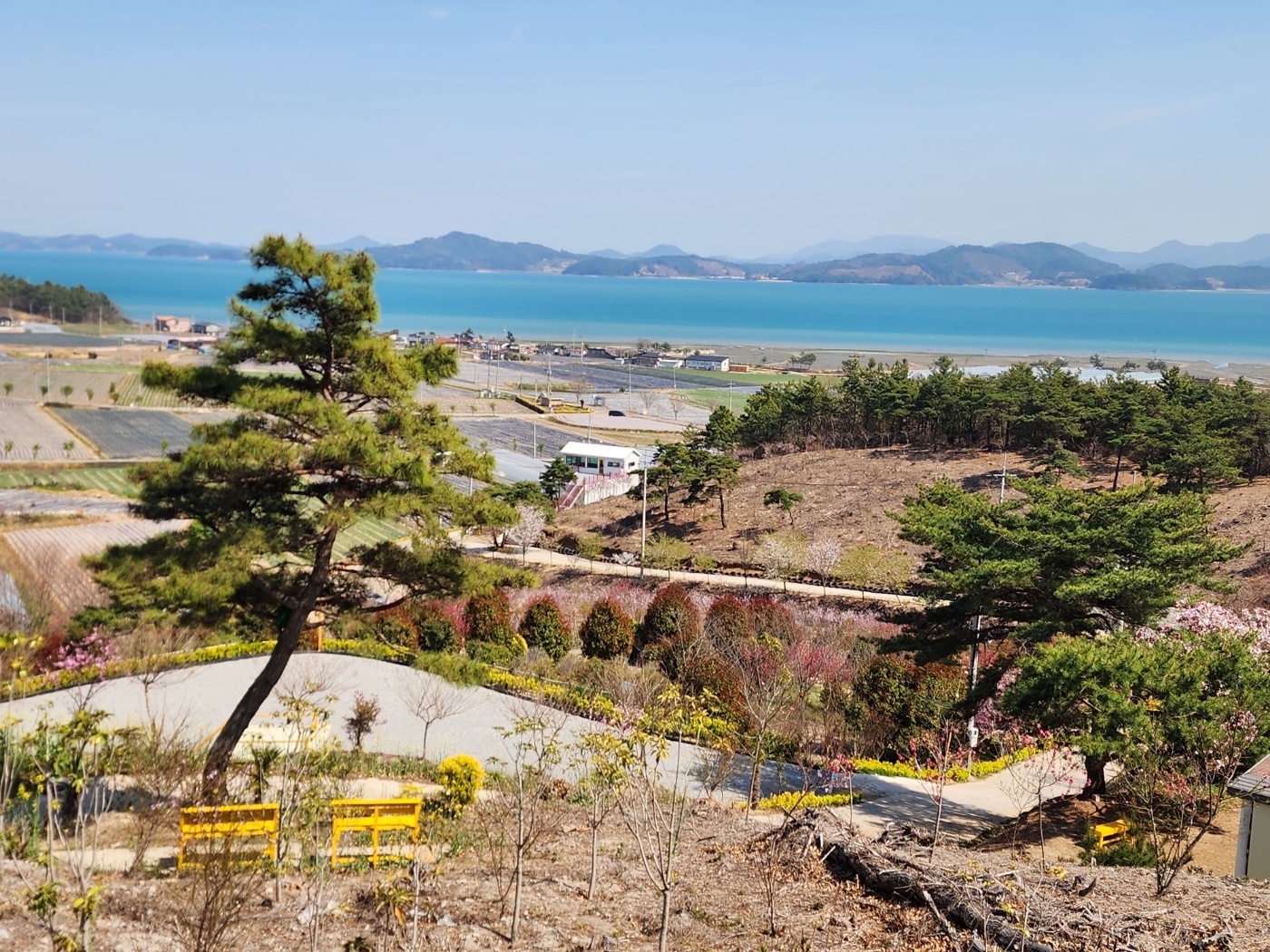 보성 글램핑더마루 전망