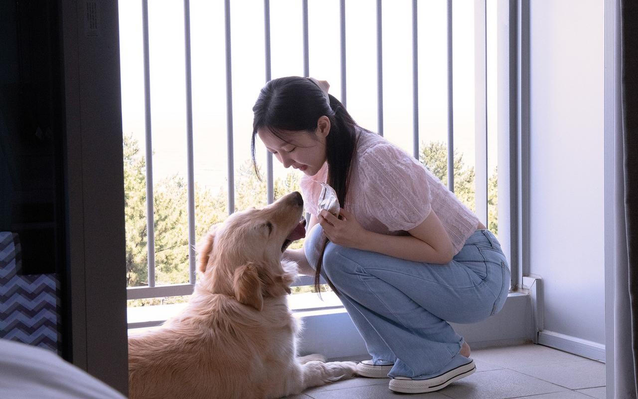 강릉 세인트존스호텔 사진