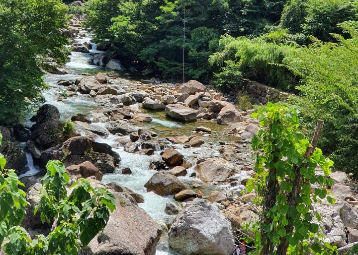 https://yaimg.yanolja.com/v5/2025/04/19/10/680378cf854f09.97846305.jpg