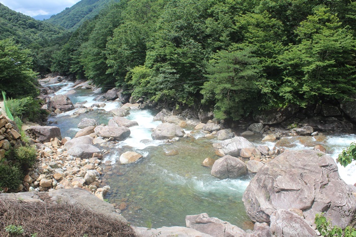 https://yaimg.yanolja.com/v5/2025/04/19/10/680378cf964464.22826460.jpg