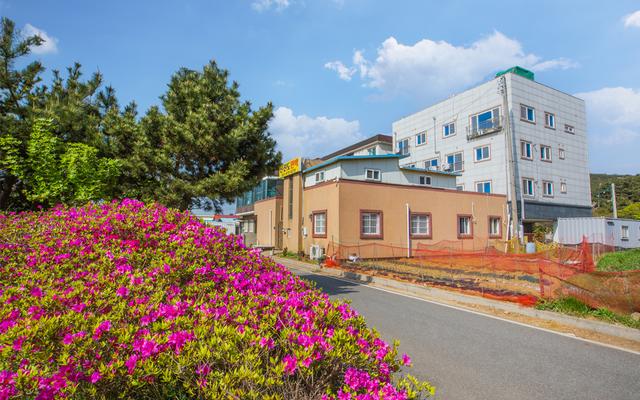 태안 신진도민박