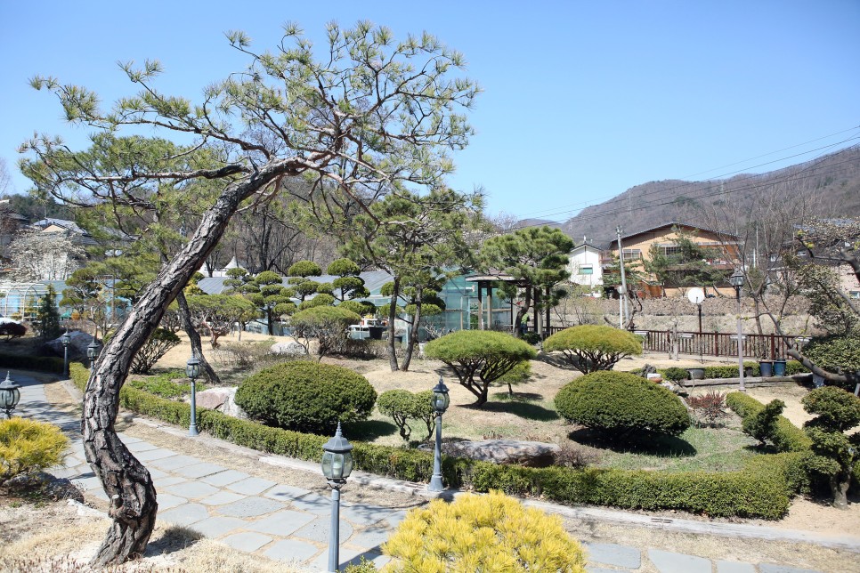 https://yaimg.yanolja.com/v5/2025/04/19/13/6803a194e2e9d0.04926985.jpg