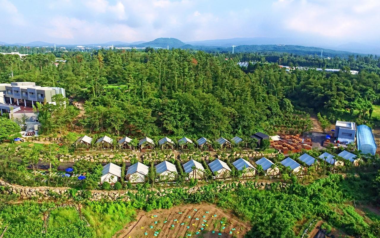제주 자연인글램핑&펜션 사진