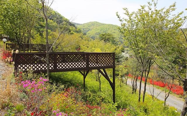 청양 고운글램핑