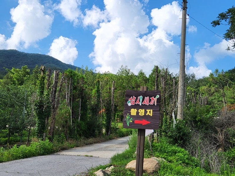 https://yaimg.yanolja.com/v5/2025/04/19/18/6803e78f1c3ff0.06885772.jpg