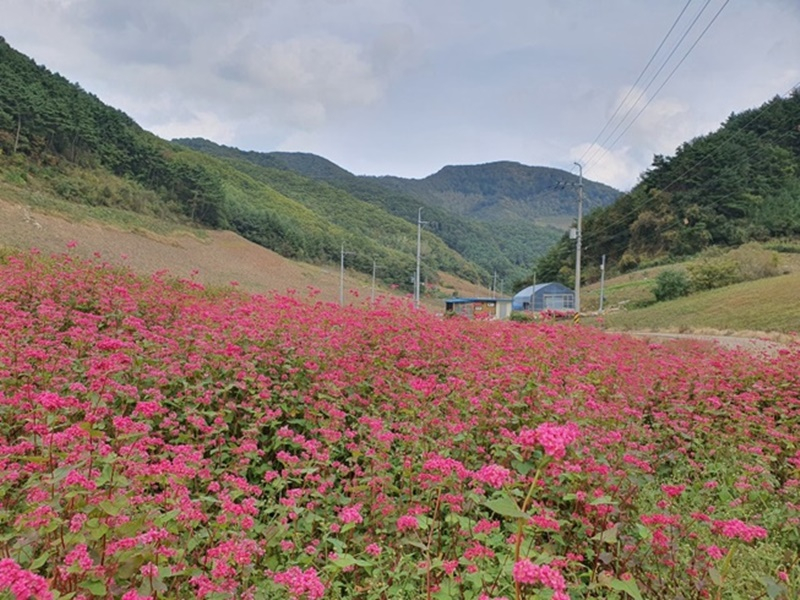 https://yaimg.yanolja.com/v5/2025/04/19/18/6803e78f201fe9.15416416.jpg