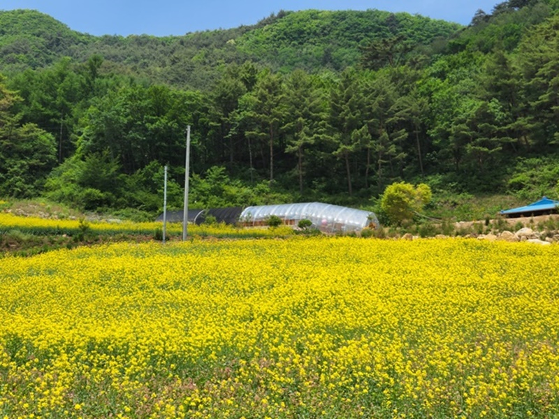 https://yaimg.yanolja.com/v5/2025/04/19/18/6803e78f226f79.75887338.jpg