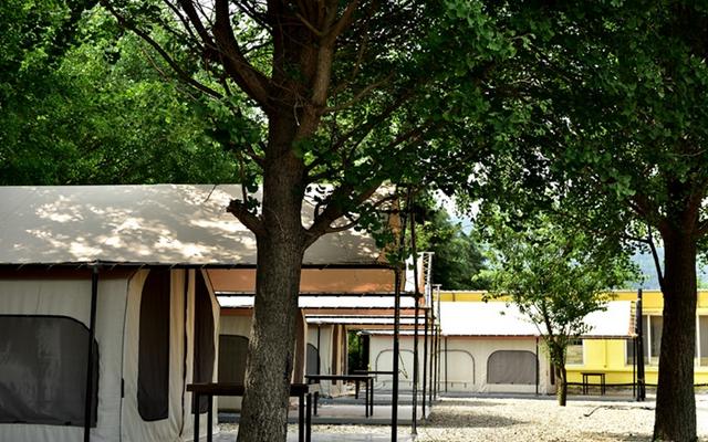 영천 늘푸른체험학교 글램핑 캠핑장