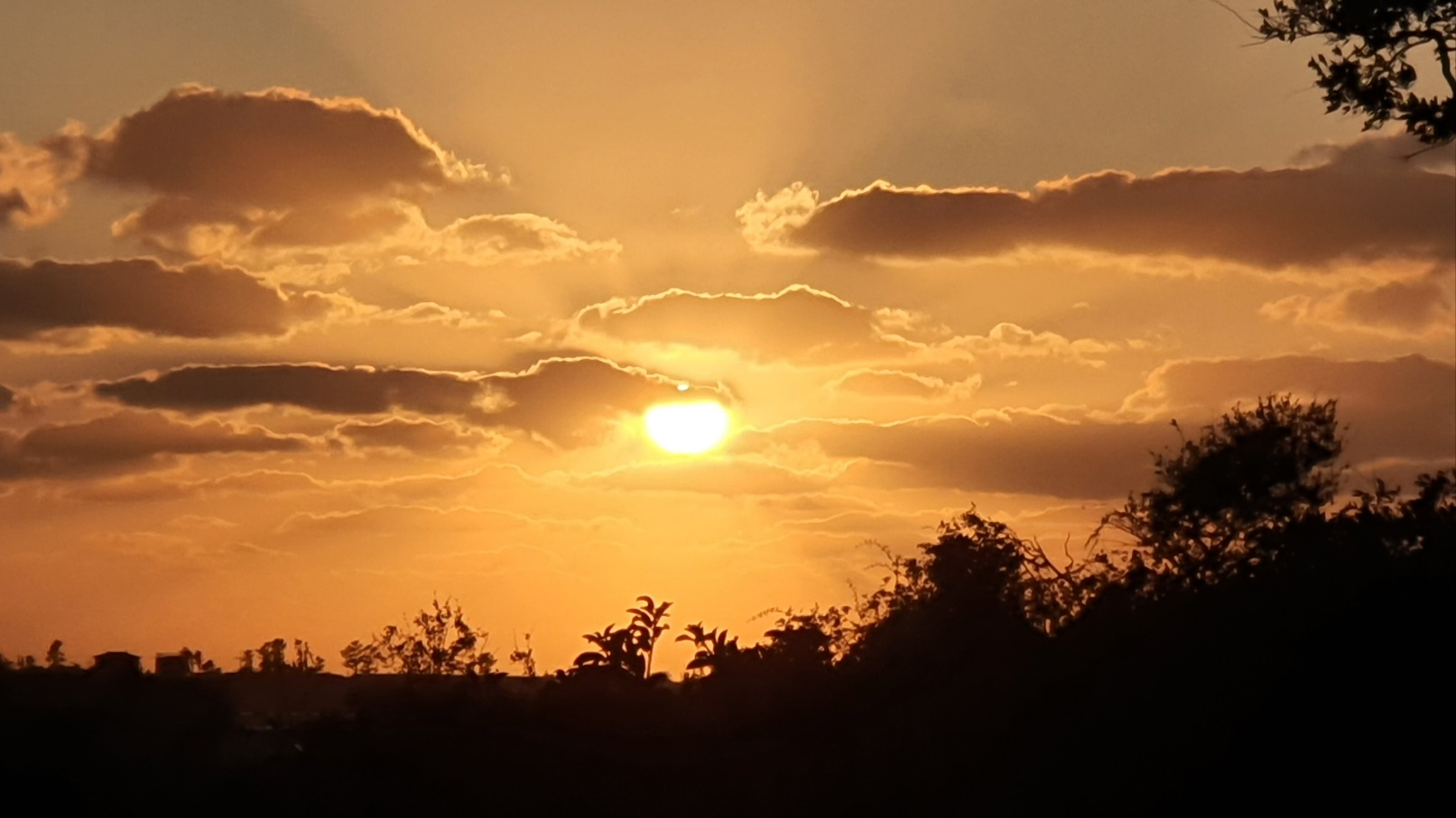 서귀포 빌라노이 이미지 24