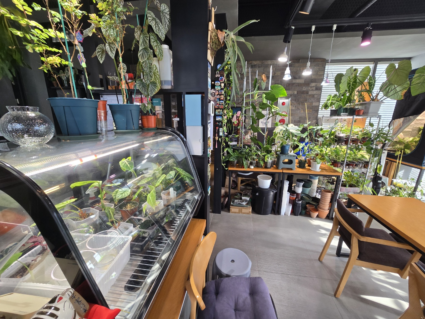 서귀포 빌라노이 이미지 4