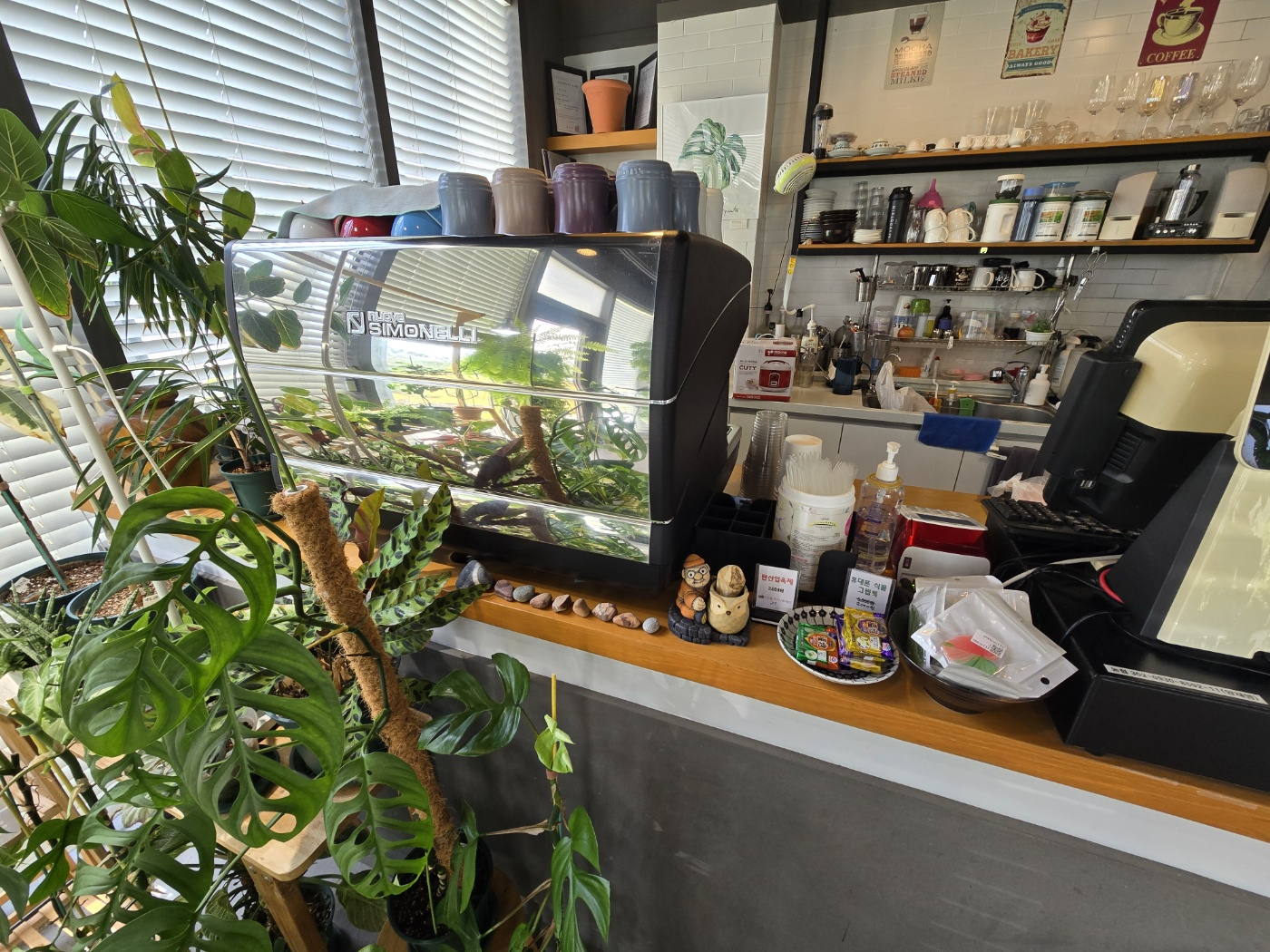 서귀포 빌라노이 이미지 17